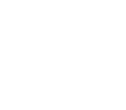 Raffles the Palm