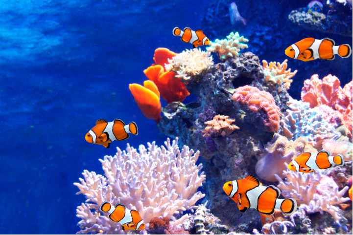 Океанариум Underwater World Pattaya